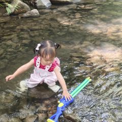天水源农庄(天目湖店) User Photo