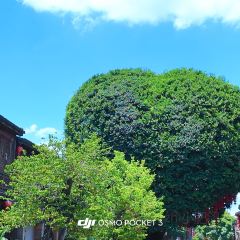 Da Fu Xing Yu Wan (Mei Shi Jie) User Photo