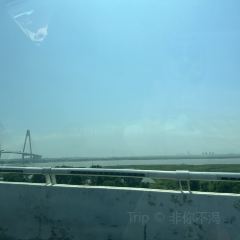 王記骨頭館張用戶圖片