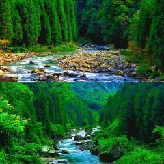 黑山雅居 여행 사진