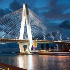 瑞丰椰子鸡 User Photo