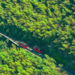 YU YAN LOU User Photo