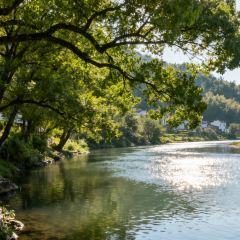 PAN PO FAN DIAN User Photo