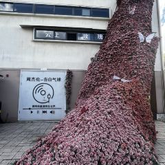 云端美咖 User Photo