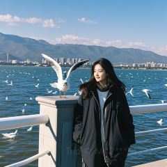 傣景园景颇族绿叶手抓饭 User Photo