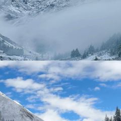 ZA QI ZA BA NIU ZA TANG GUO User Photo