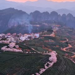 绍兴新昌安岚·听涛阁 User Photo