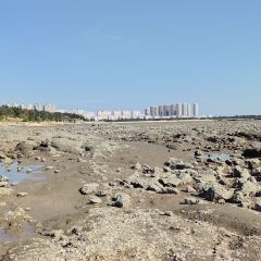 成山頭裕福祥漁家樂張用戶圖片