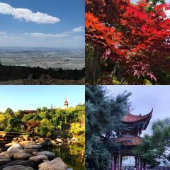 沾益龔氏辣子雞（沾益店）用戶圖片