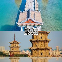 Tang you ba ba User Photo