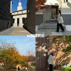 Bar Lotus User Photo