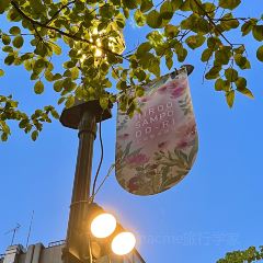 Marche Aux Vinsyamada User Photo