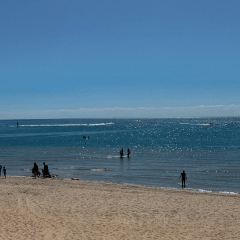Waves on the Beach Restaurant User Photo