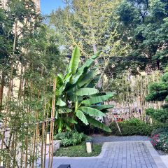 捌佰裡皖江別院張用戶圖片