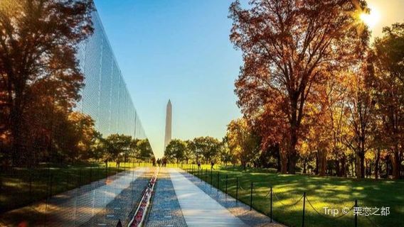 Washington D.C.