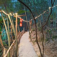 珍珠山民间菜 User Photo