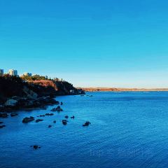 海天阁(成山大道东段店) User Photo