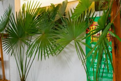 赵家蒸鸡鸡汤(解放路店)