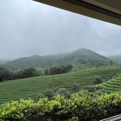 小杭坑2号营地 User Photo