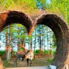 AO LU GU YA User Photo