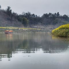 徐大姐家常菜 User Photo