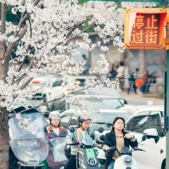 花之林(湘中大道店) User Photo
