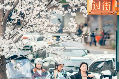花之林人文茶馆(湘中大道店)