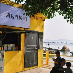海边有棵树 여행 사진
