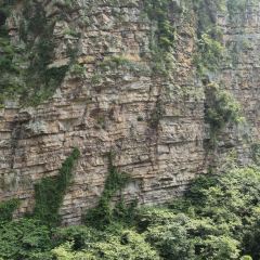 龙山餐厅 User Photo