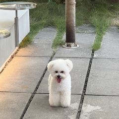 知北营地·麓湖店 User Photo