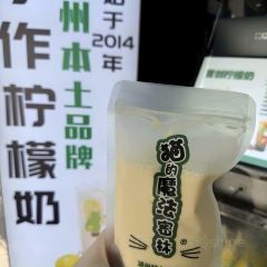 PANGU 여행 사진