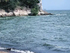 차오후