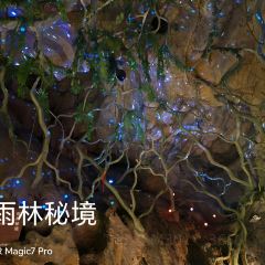 流香干煸老鸭(黄流店) User Photo