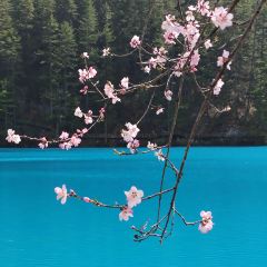 卡万金特色藏餐 User Photo