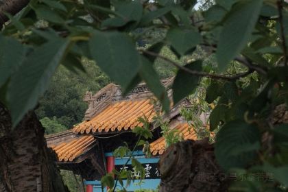 海景壹號海鮮大酒店(濱湖店)