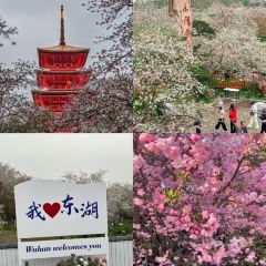 QINGHE User Photo