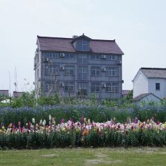 良壤有机庄园 User Photo