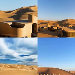 Oriental Beef King User Photo