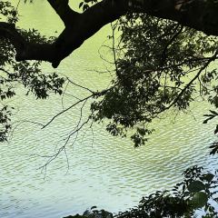 XIN SHI HUI User Photo