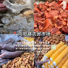 一千零一夜夜宴 User Photo