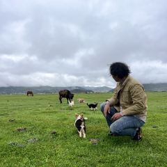 半途而沸 白塔·观景咖啡 여행 사진