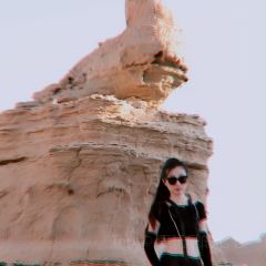 楊老七羊肉粉湯張用戶圖片