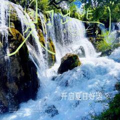 川渝味腊排铜锅家常菜(街子古镇店) User Photo