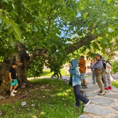 芒康云曲庄园酒店·全日制餐厅 User Photo