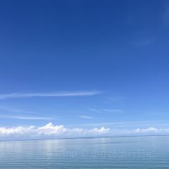 青海湖藏趣部落民宿·特色餐厅 User Photo