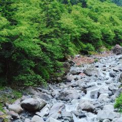梅子山庄·土司宴 User Photo
