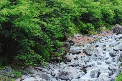 梅子山庄·土司宴