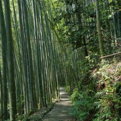Zhaolaosixian'echang Hot Pot (pengzhoujiuchi) User Photo