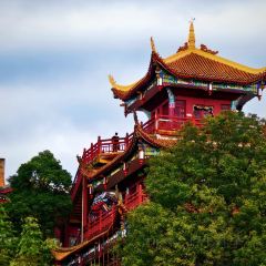 Wang Qing Shui User Photo