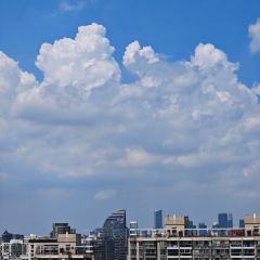 甬府尊鮮(前滩太古里店) User Photo